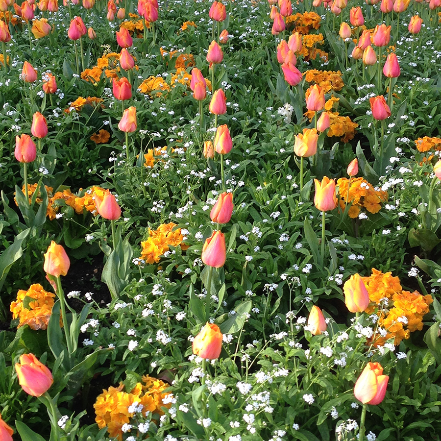 Soigner les symptomes